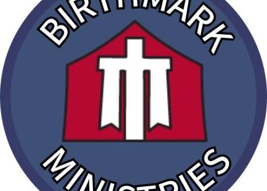 Birthmark ministry logo
