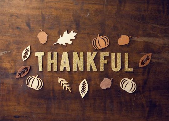 Thankful written with cutout fall leaves and pumpkins around it.