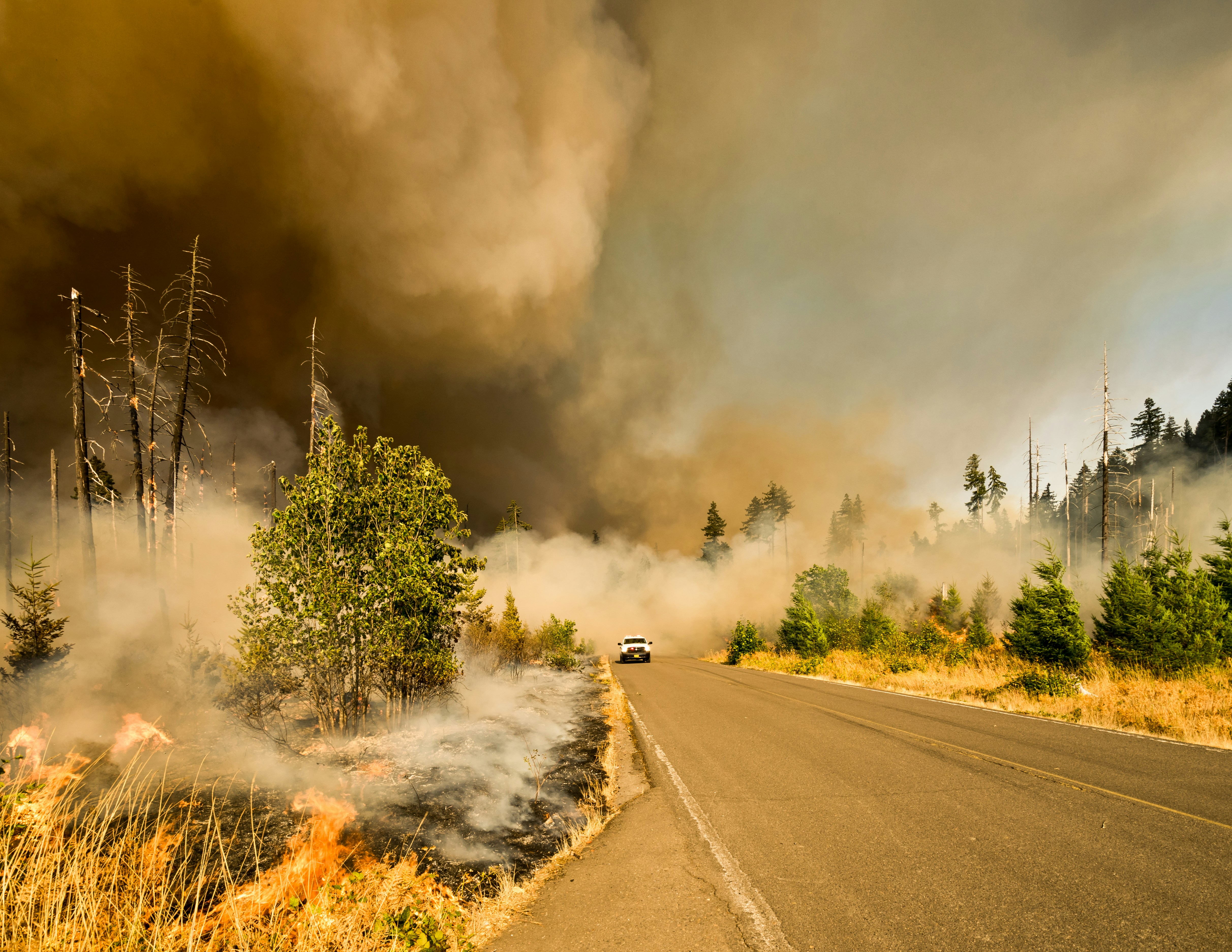 truck driving on a road surrounded by wildfire smoke